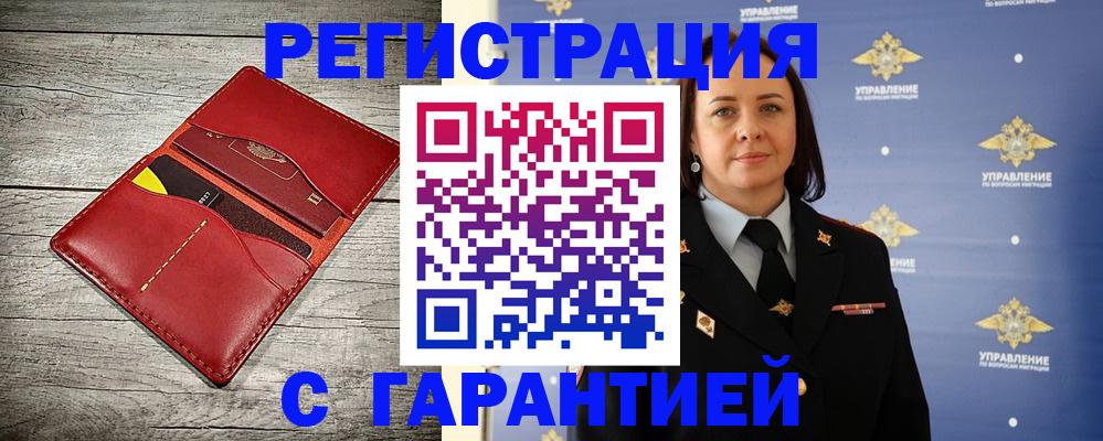 прописка поиск в Белгородской области